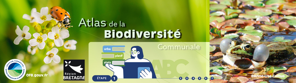 Bandeau de la page 'Les animations pour l’Atlas de la biodiversité