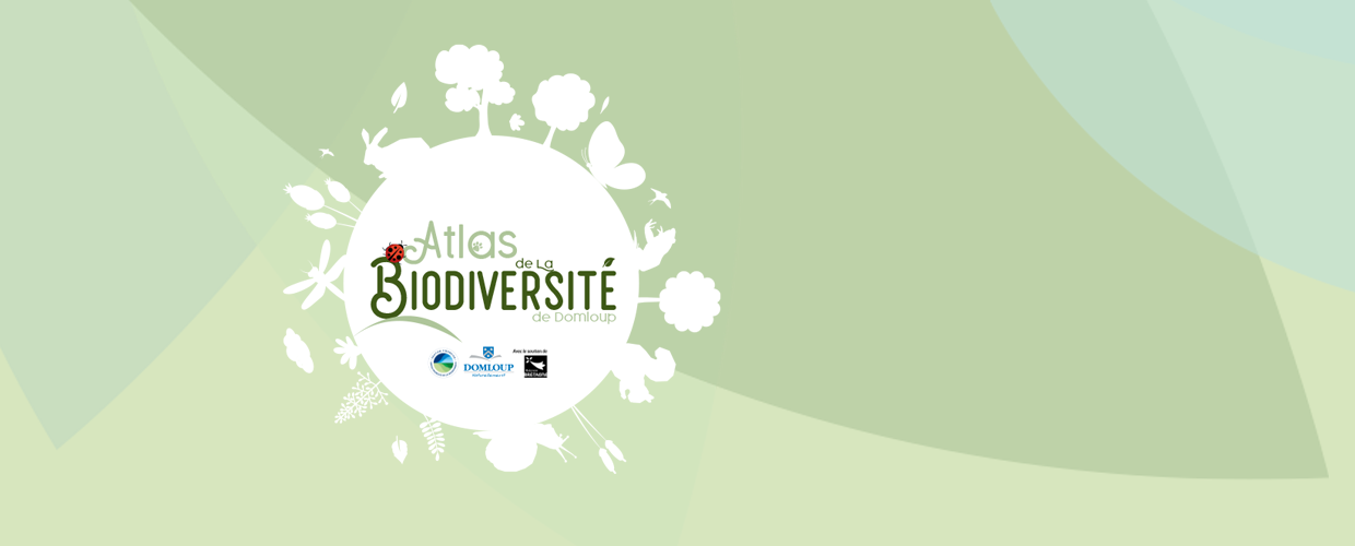 Bandeau de la page 'Atlas de la biodiversité communale